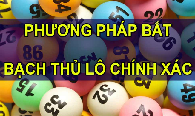 Phương pháp bắt bạch thủ lô dễ dàng